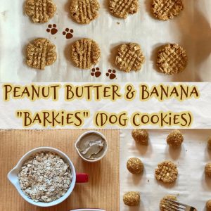 Frozen Dog Treats- Peanut Butter Berry Pops- A Cultivated Nest