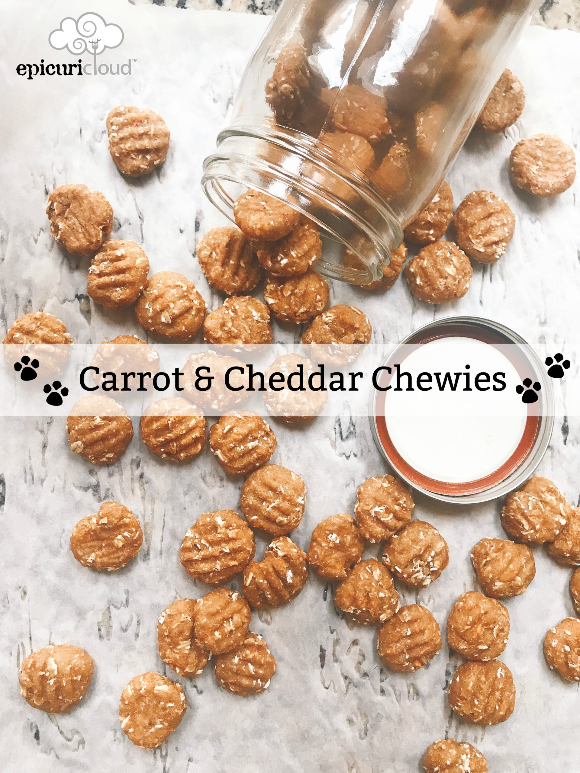 cheesy dog biscuit recipe