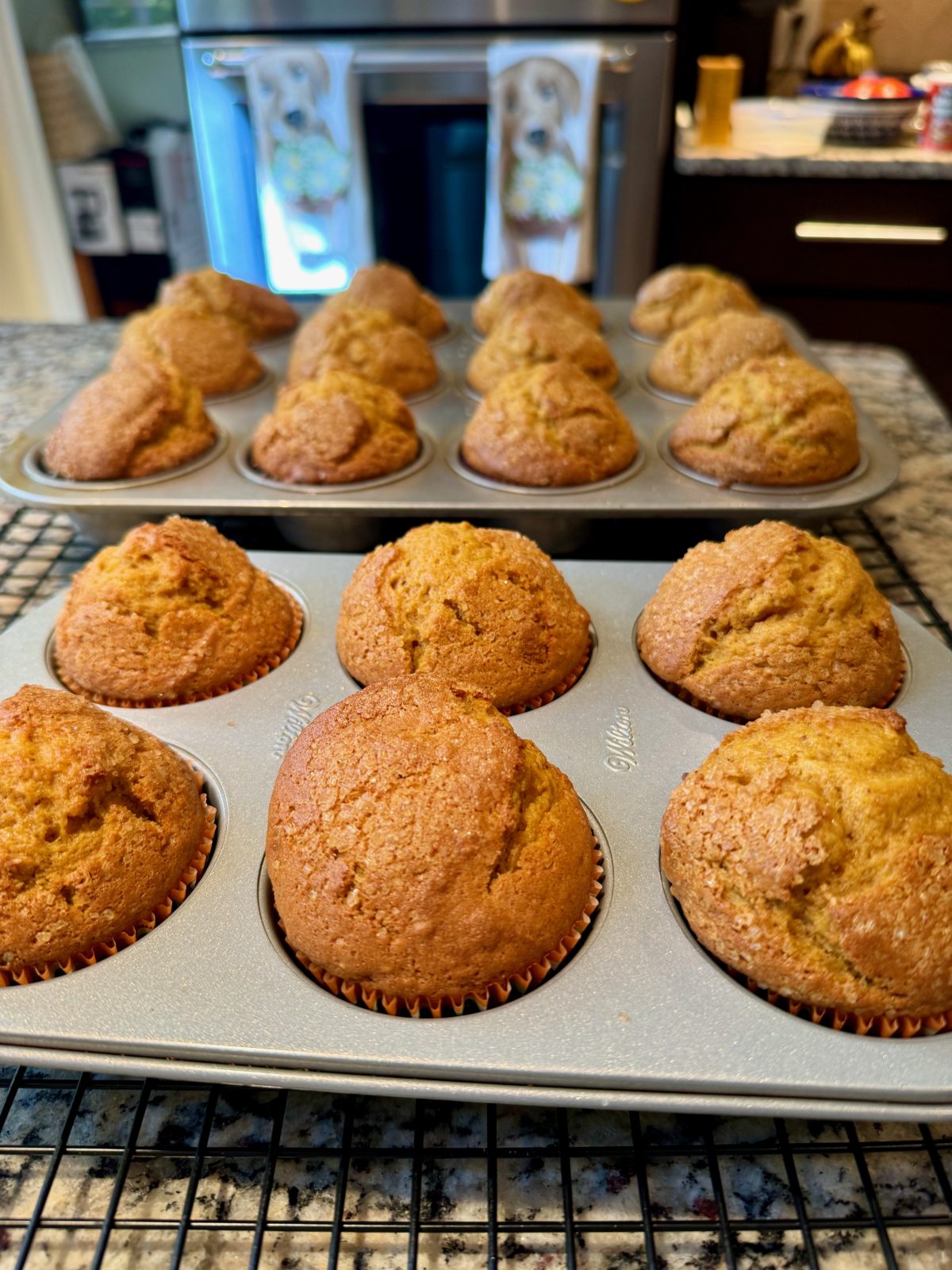 18 freshly baked pumpkin muffins in 12- cup and 6-cup muffin pans on a black cooling rack on a kitchen countertop with wall oven in the background.
