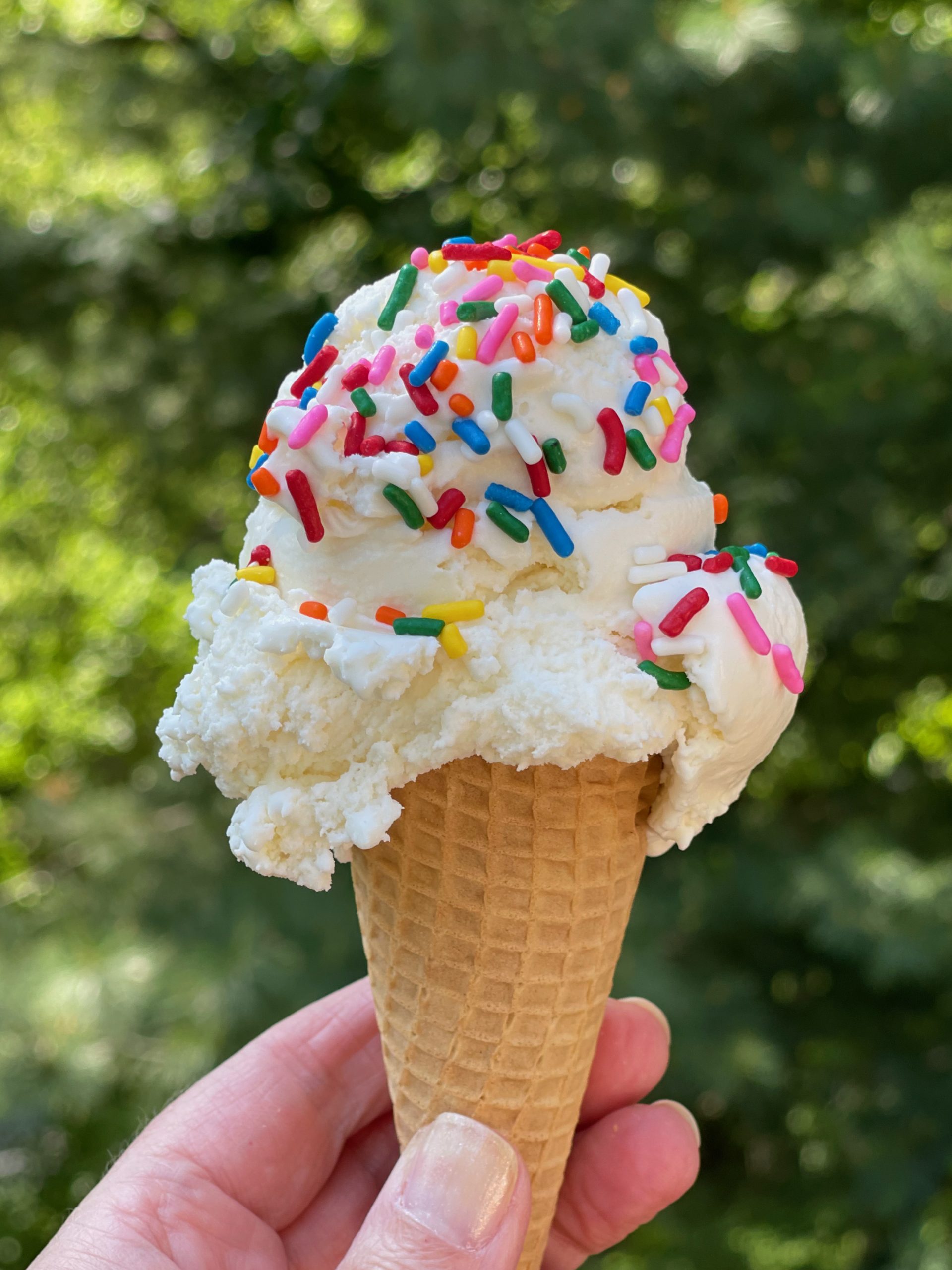 https://www.epicuricloud.com/wp-content/uploads/2021/05/Vanilla-Ice-Cream-Cone-up-close-scaled.jpeg