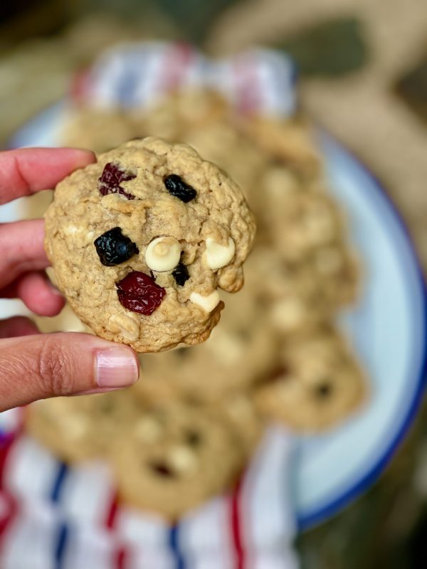 Cherry Berry Oatmeal Cookies [melted butter no chilling] epicuricloud (Tina Verrelli)