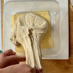 Showing the stretching portion of a sourdough stretch and fold. 2 hands stretching sourdough in a square plastic container.