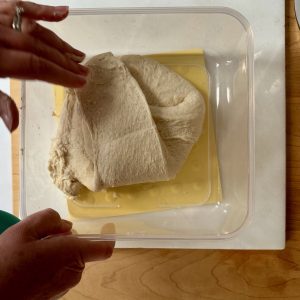 Sourdough Stretch and Fold Process. Two hands showing the folding part of the process with a mound of dough in a square plastic container.