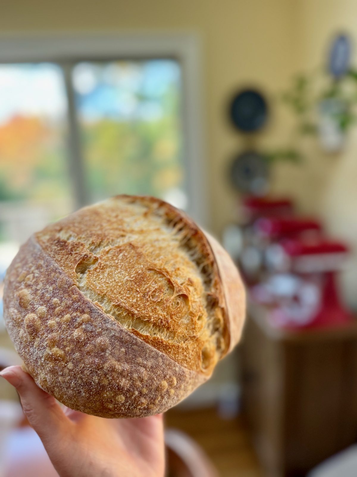 Outside loaf of sourdough boule with browned blisters outside and ear.  3 KitchenAid Stand Mixers in the background